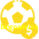 Aposte em esportes do mundo todo no bingoaovivo!