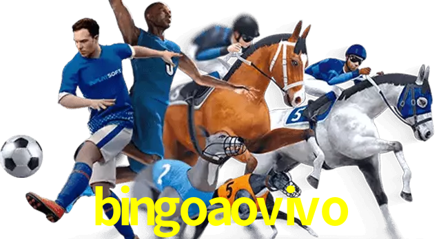 bingoaovivo