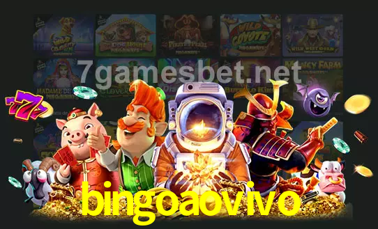 cassino bingoaovivo