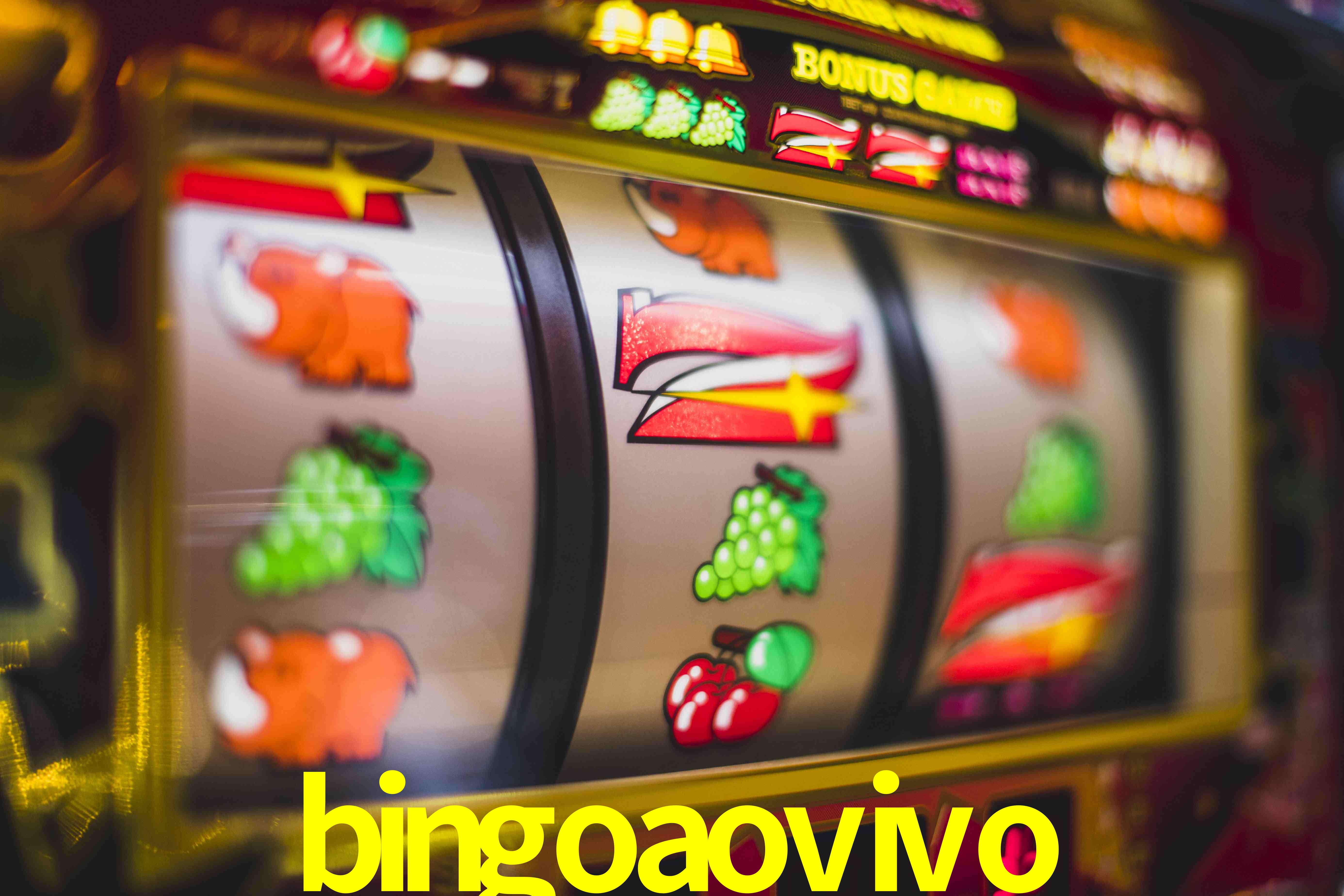 VIP Casino bingoaovivo
