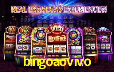 APP oficial da bingoaovivo para mobile